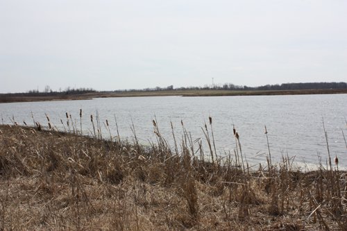 Property photo 4 - 194.67 Acres Offered in 2 Tracts